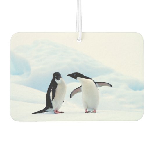 Adelie Penguins Luchtverfrisser (Voorkant)