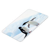 Adelie Penguins Magneet (Linkerzijde)