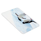 Adelie Penguins Magneet (Rechterzijde)