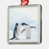 Adelie Penguins Metalen Ornament (Links)