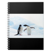 Adelie Penguins Notitieboek (Voorkant)