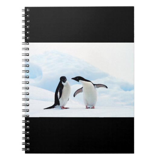 Adelie Penguins Notitieboek (Voorkant)