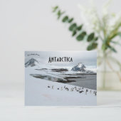 Adelie Penguins op het Hoefijzer Antarctica Briefkaart (Staand voorkant)