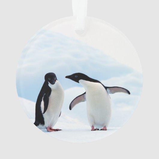 Adelie Penguins Ornament (achterkant)
