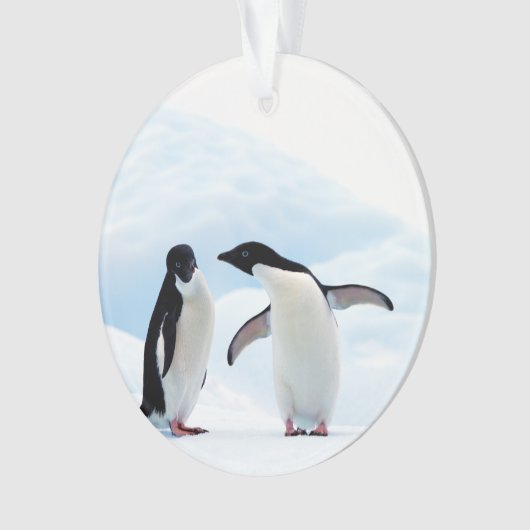 Adelie Penguins Ornament (voorkant)