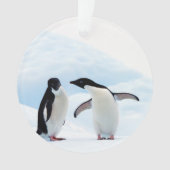 Adelie Penguins Ornament (voorkant)