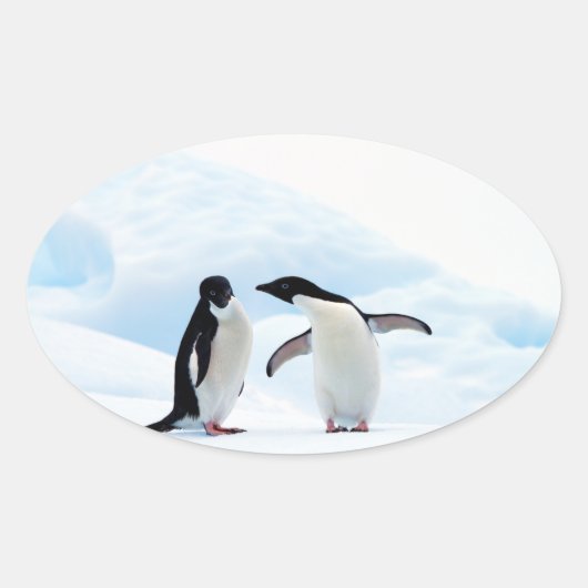 Adelie Penguins Ovale Sticker (Voorkant)