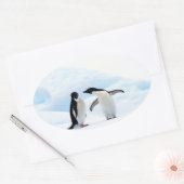 Adelie Penguins Ovale Sticker (Envelop)