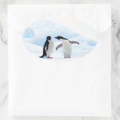 Adelie Penguins Ovale Sticker (Tas)