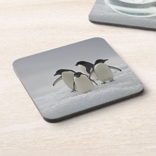 Adelie Penguins over ijsstromen Bier Onderzetter (Linkerzijde)