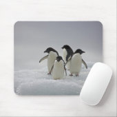 Adelie Penguins over ijsstromen Muismat (Met muis)