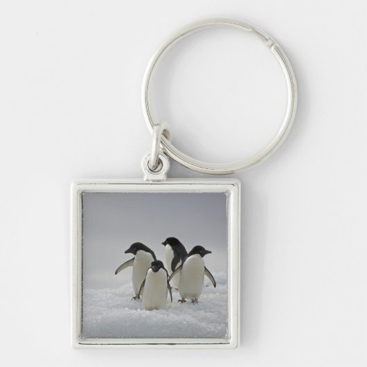 Adelie Penguins over ijsstromen Sleutelhanger (Voorkant)
