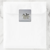 Adelie Penguins over ijsstromen Vierkante Sticker (Tas)