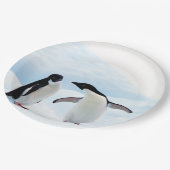 Adelie Penguins Papieren Bordje (Gekanteld)