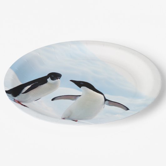 Adelie Penguins Papieren Bordje (Gekanteld)