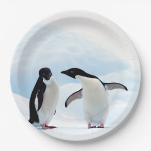 Adelie Penguins Papieren Bordje