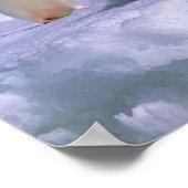 Adelie Penguins Poster (Hoek)