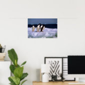 Adelie Penguins Poster (Thuiskantoor)