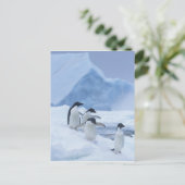 Adelie Penguins (Pygoscelis adeliae) op ijs, Briefkaart (Staand voorkant)