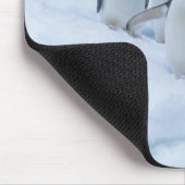 Adelie Penguins (Pygoscelis adeliae) op ijs, Muismat (Hoek)