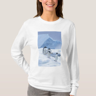Adelie Penguins (Pygoscelis adeliae) op ijs, T-shirt