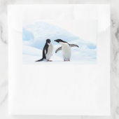 Adelie Penguins Rechthoekige Sticker (Tas)
