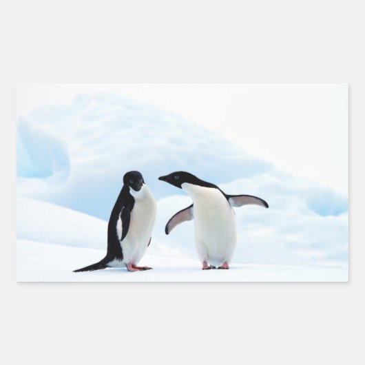 Adelie Penguins Rechthoekige Sticker (Voorkant)