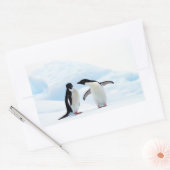 Adelie Penguins Rechthoekige Sticker (Envelop)