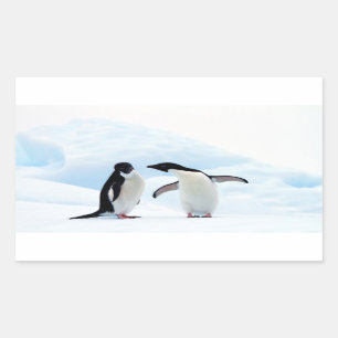 Adelie Penguins Rechthoekige Sticker