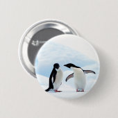 Adelie Penguins Ronde Button 5,7 Cm (Voorkant /achterkant)