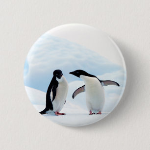Adelie Penguins Ronde Button 5,7 Cm
