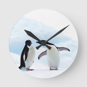 Adelie Penguins Ronde Klok