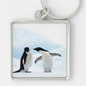 Adelie Penguins Sleutelhanger (Voorkant)