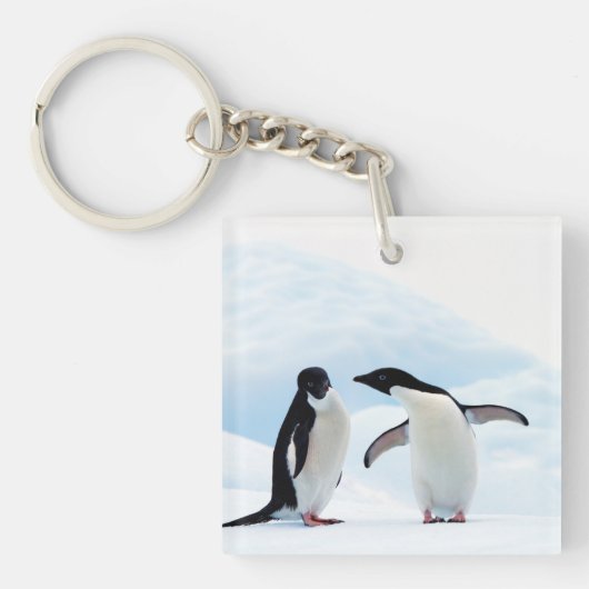 Adelie Penguins Sleutelhanger (voorkant)
