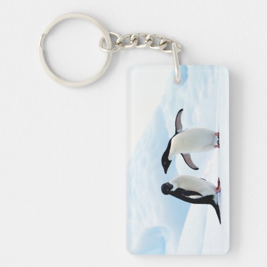 Adelie Penguins Sleutelhanger (Voorkant)