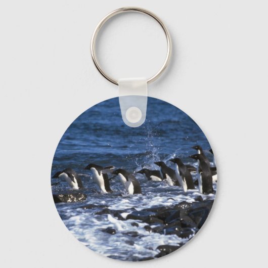 Adelie Penguins Sleutelhanger (Voorkant)