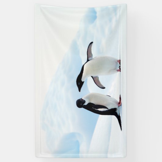 Adelie Penguins Spandoek (Verticaal)