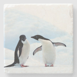 Adelie Penguins Stenen Onderzetter