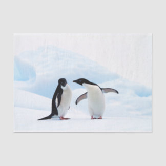 Adelie Penguins Tissuepapier