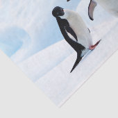 Adelie Penguins Tissuepapier (Detail)