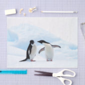 Adelie Penguins Tissuepapier (Craft)