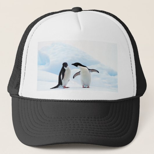 Adelie Penguins Trucker Pet (Voorkant)