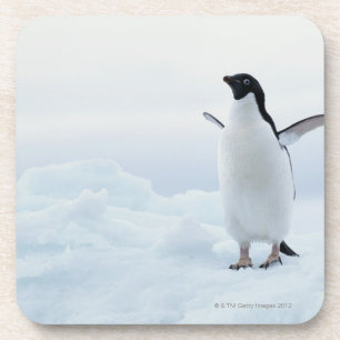 Adelie pinguïn, Antarctica Drankjes Onderzetter