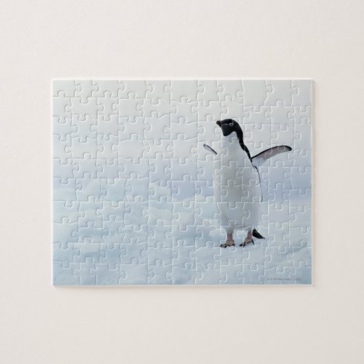Adelie pinguïn, Antarctica Legpuzzel (Horizontaal)
