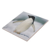 Adelie pinguïn, close-up tegeltje (Zijkant)