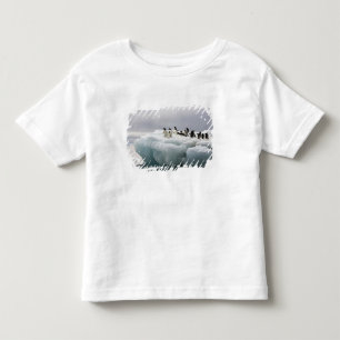 Adelie Pinguïn Pygoscelis adeliae), Kinder Shirts