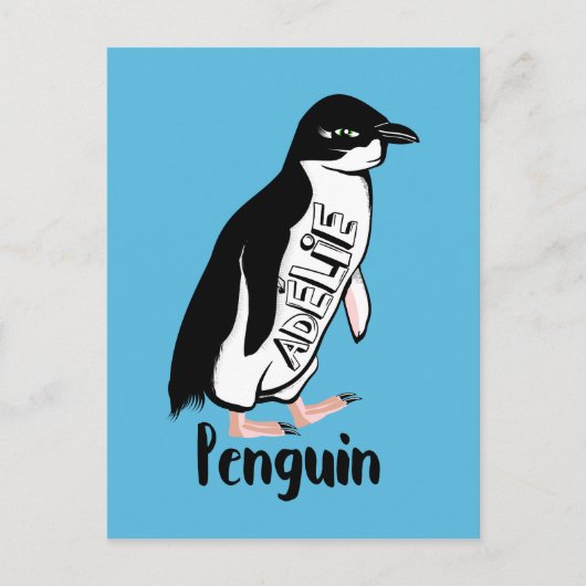 Adelie pinguins briefkaart (Voorkant)