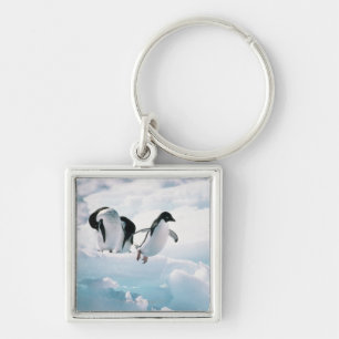 Adelie pinguïns (pygoscelis adeliae) Antarctica Sleutelhanger