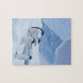 Adelie-pinguïns (Pygoscelis adeliae) op ijs, Legpuzzel (Horizontaal)