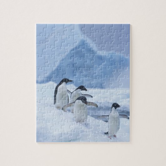 Adelie-pinguïns (Pygoscelis adeliae) op ijs, Legpuzzel (Verticaal)